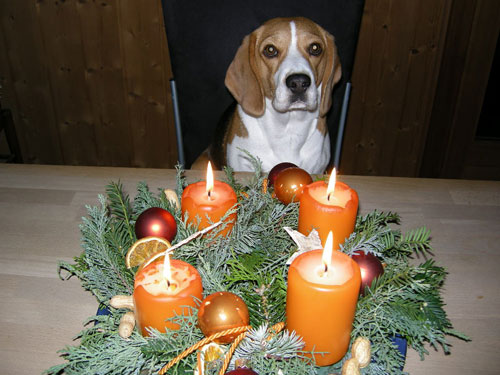 Bald ist Weihnachten und ich möchte meiner Familie im Tessin frohe gesegnete Festtage wünschen und für das Neue Jahr Glück,Gesundheit und Zufriedenheit!